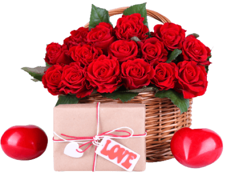 Rose escort lucknow